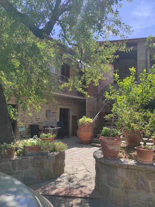 Apartmán Petreto Il Giardino Dei Limoni Castiglion Fiorentino Exteriér fotografie